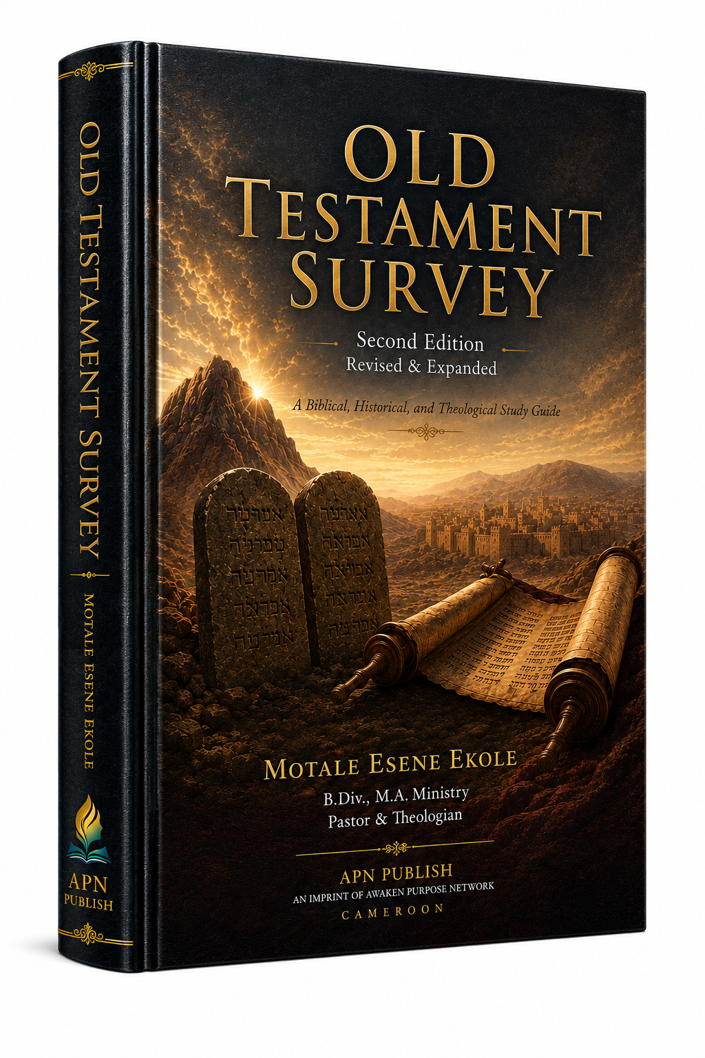 Old Testament Survey cover